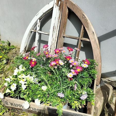 Ferienwohnung Am Schlossberg Solingen Eksteriør billede